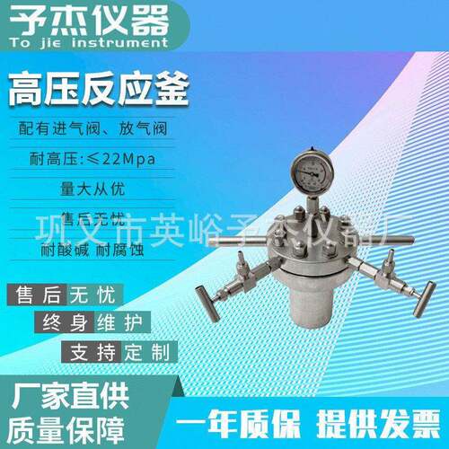 CF简易釜1L2L3L5L反应釜不锈钢釜实验室釜
