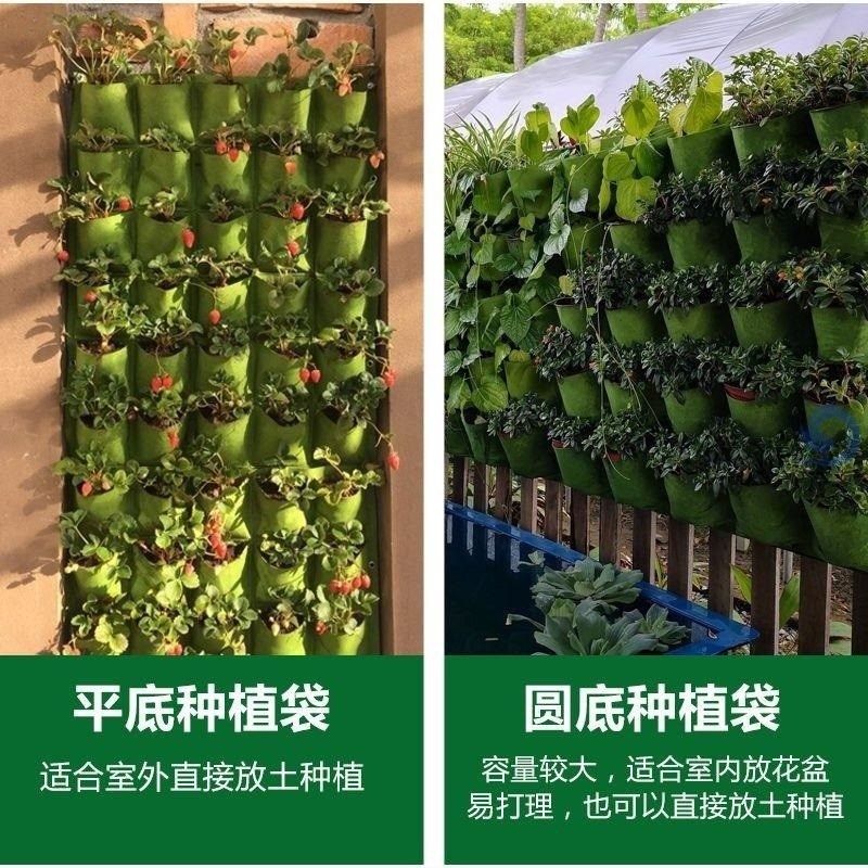 挂墙花盆垂直绿化立体植物绿植墙室内外阳台种菜神器壁挂式种植袋,鲜花速递/花卉仿真/绿植园艺,花盆,淘宝优惠券,粉丝福利购,淘宝优惠卷