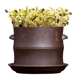 极速紫砂生豆芽机家用发豆芽神器豆芽罐桶器生绿黄豆芽菜花生芽发