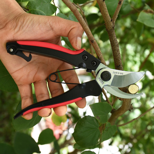 佐川吉818修枝剪粗枝剪修花剪刀花木修剪工具果树剪园艺工具