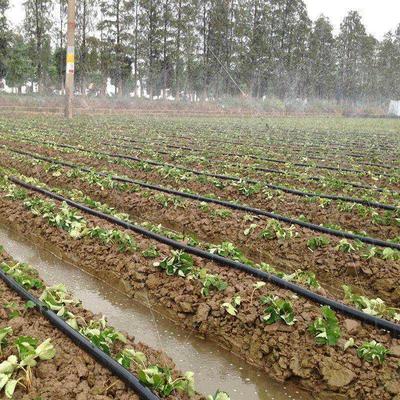 滴管农用滴灌管主管大棚输水带节水灌溉喷灌水管结实耐用微喷水带