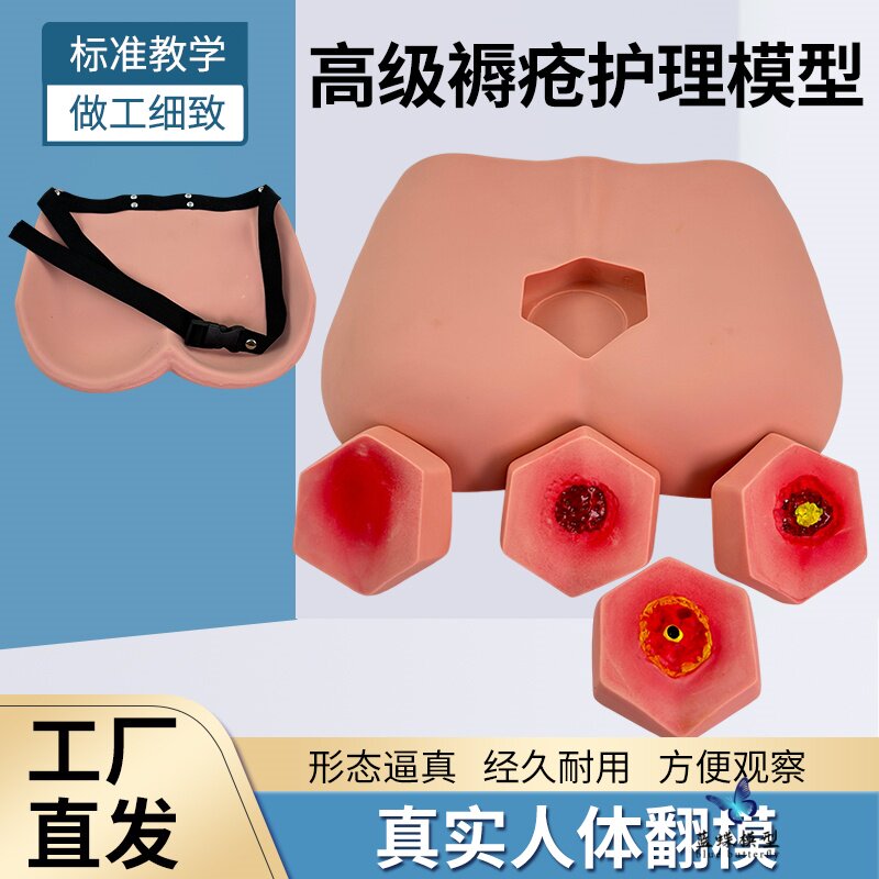 阶段褥疮护理模型养老护理教学阶段褥疮护理训练压疮护理训练模具