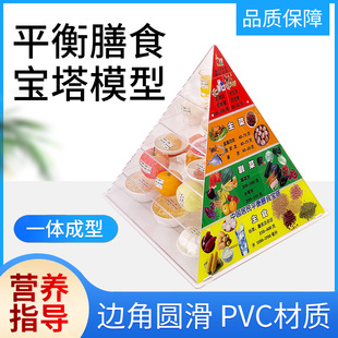 新版2022中国居民平衡膳食宝塔模型仿真食物交换份膳食金字塔模型