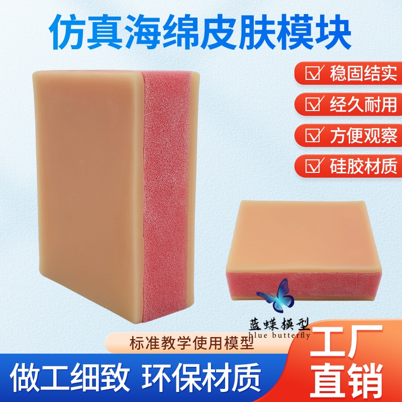 蓝蝶模型海绵皮肤缝合练习教具