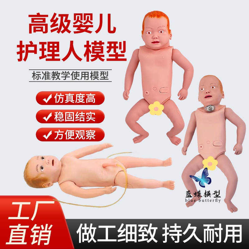 蓝蝶模型高级婴儿护理人模型