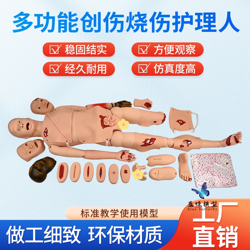 蓝蝶模型全功能创伤护理人教具