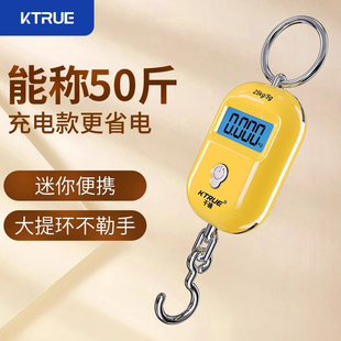 精准迷你手提电子秤高精度家用小型便携式吊秤弹簧秤钩称食物称克