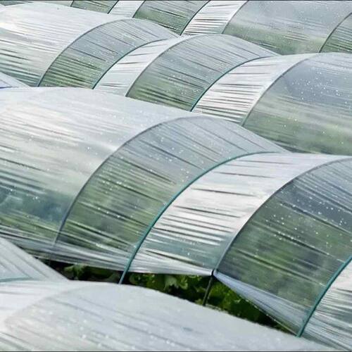 农业种植小拱棚专用膜塑料薄膜小拱棚全新料保温防寒蔬菜大棚二膜