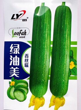 绿油美香丝瓜种子杂交短棒瓜皮绿色油亮丝瓜种籽南北方春夏播种孑