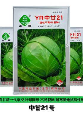 中蔬YR中甘21甘蓝种子春播早熟圆形卷心菜圆白菜种子口感好蔬菜种