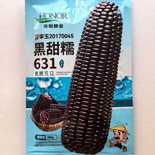 黑甜糯631黑玉米种子甜糯香粘玉米种籽高产抗病鲜食大棒春季播种