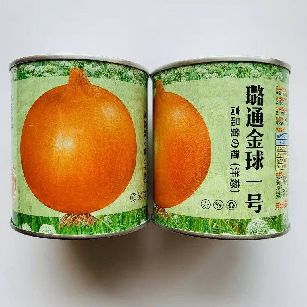 璐通金球一号洋葱种子中熟黄皮洋葱种籽脆爽多汁圆葱高产秋播葱种