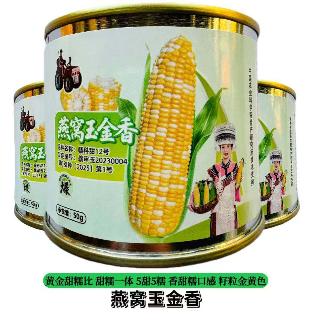 燕窝玉金香燕窝雪糯玉米全新第三代超甜水果爆浆玉好吃籽粒金黄色,农用物资,蔬菜种子/种苗,淘宝优惠券,粉丝福利购,淘宝优惠卷