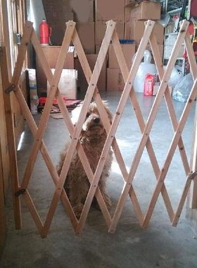 Dog Outdoor Safe Stairs Wooden Fence Easy Installation