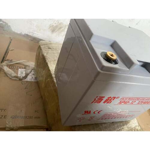 汤松NP40-12 12V40AH阀控式铅酸免维护蓄电池UPS EPS电源直流屏用