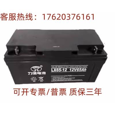 力信12V55AH直流屏LXG55-12太阳能消防通讯UPS/EPS风能基站蓄电池