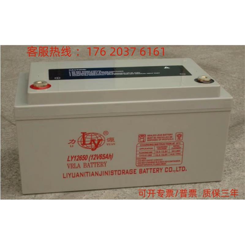力源蓄电池LY12500/直流屏12V50AH太阳能路灯UPS/EPS风能基站通讯