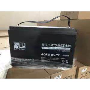精卫6-GFM-100-YT 12V100AH阀控式铅酸免维护蓄电池免UPS电源原装