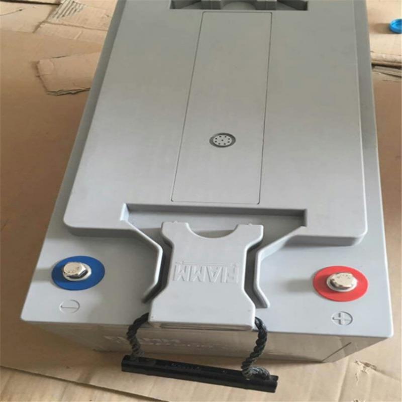 FIAMM非凡蓄电池12SP205 12V205AH机房UPS电源消防应急太阳能电瓶
