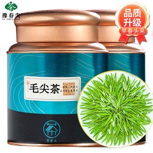 毛尖茶叶特级2025新茶高端茶叶嫩芽明前清香型圆罐茶叶礼盒装送礼