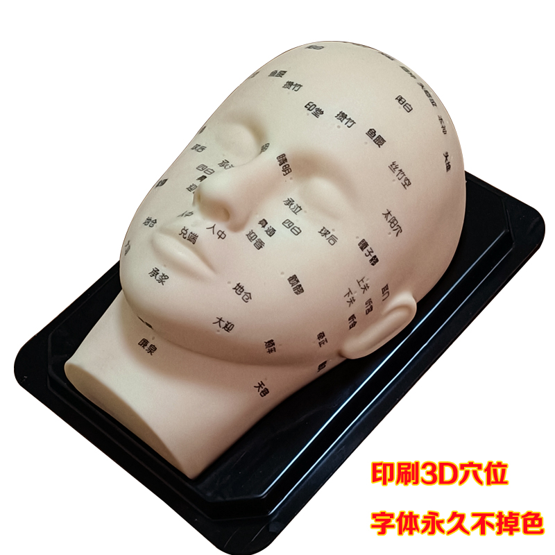 极速模型头微整美容模特医疗整形假人头练习注射打针缝合矽胶线雕