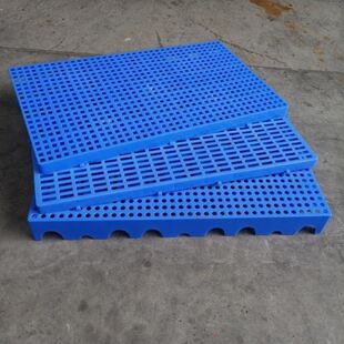 鸡舍狗笼底网板猪圈塑料地垫板鸽子鸭子鸡粪养羊用的养殖漏粪板