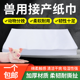 母猪接产纸巾养殖场生产专用接生纸巾产房接生工具兽用猪崽卫生纸
