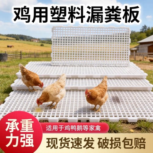 鸡鸭家禽接粪板地板小鸡养殖