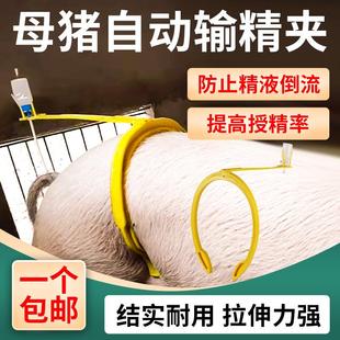 猪用自动输精夹母猪输精支架猪背夹兽用配种架神器配种夹配猪支架