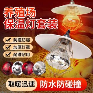 保温灯养殖专用取暖灯罩动物小鸡育雏仔猪加热发热保暖灯泡烤灯