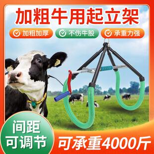 牛用起立架奶牛羊站立起立架提牛器牛辅助站立架母牛吊架牵引器