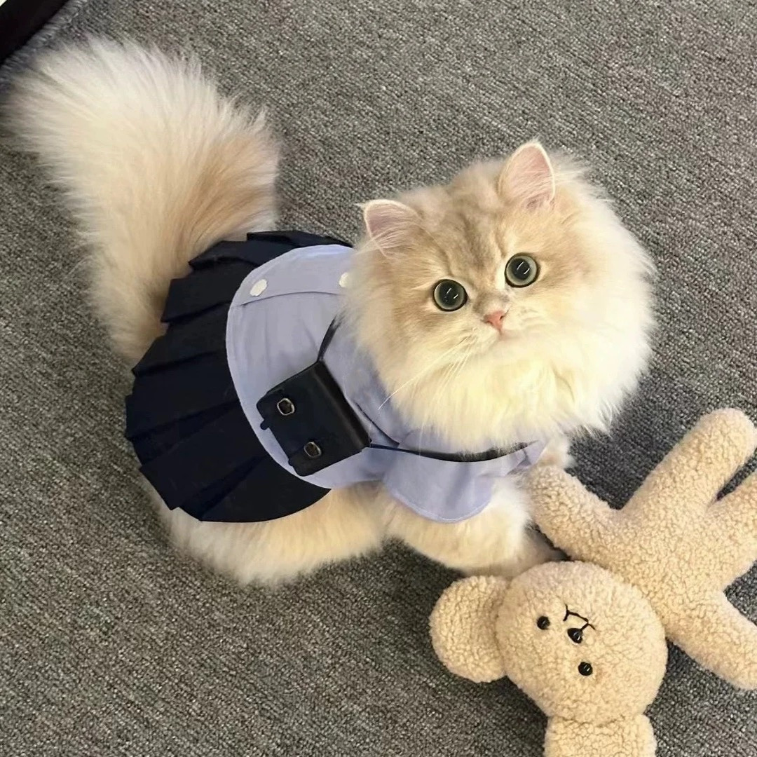 猫咪春款服装泰式学院风小狗狗制服衬衫蓝色系约克夏马尔济斯比熊