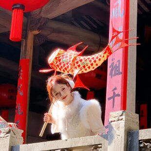 拍照道具新年装饰非遗鱼灯挂饰灯笼写真拍摄道具2026马年元旦春节