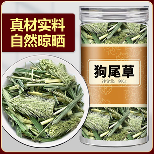 狗尾巴草中药材500g克正品野生新鲜干货光明草毛虫草九尾草中草药