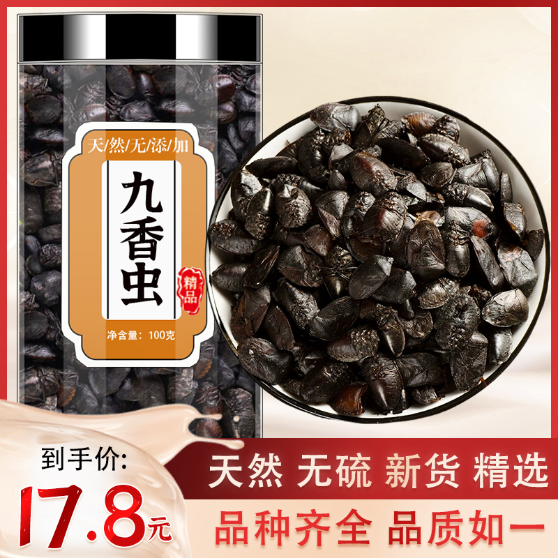 九香虫中药材正品野生新货打屁虫屁巴虫臭屁虫瓜黑蝽黑兜虫屁板虫