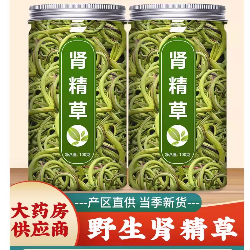 黄金草长白山嗷叫化石草孢子多