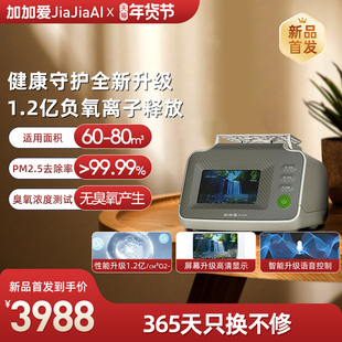 加加爱负离子发生器负氧离子家用除PM2.5空气净化器12L1安康PRO