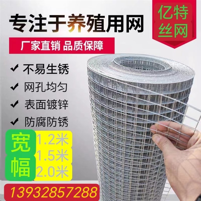 宽幅镀锌电焊网鸡鸭养殖网防鼠网C钢丝网铁丝网圈地防锈果园围栏