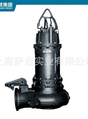 上海水泵道1TPT00W800-402Q00WQ30-13立式排污泵管污水提升泵