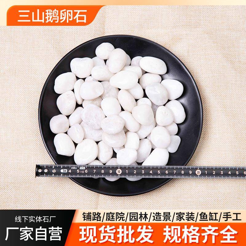 白地色鹅卵石砾石园林景盆栽公园白色鹅卵区铺石鱼缸造景头水洗石