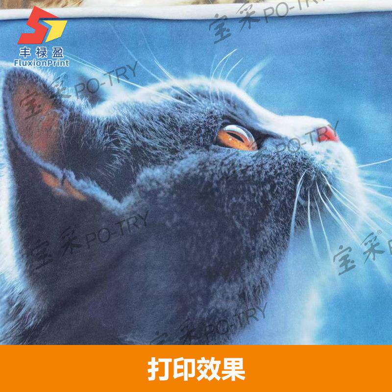 印FLYdtg工级星光喷头FLX数码直喷花机T恤工位双白墨业直喷打印机