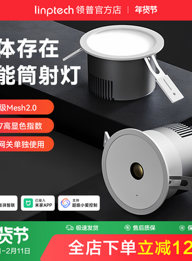 linptech领普人在智能筒灯嵌入式客厅防眩感应射灯无主灯天花板灯