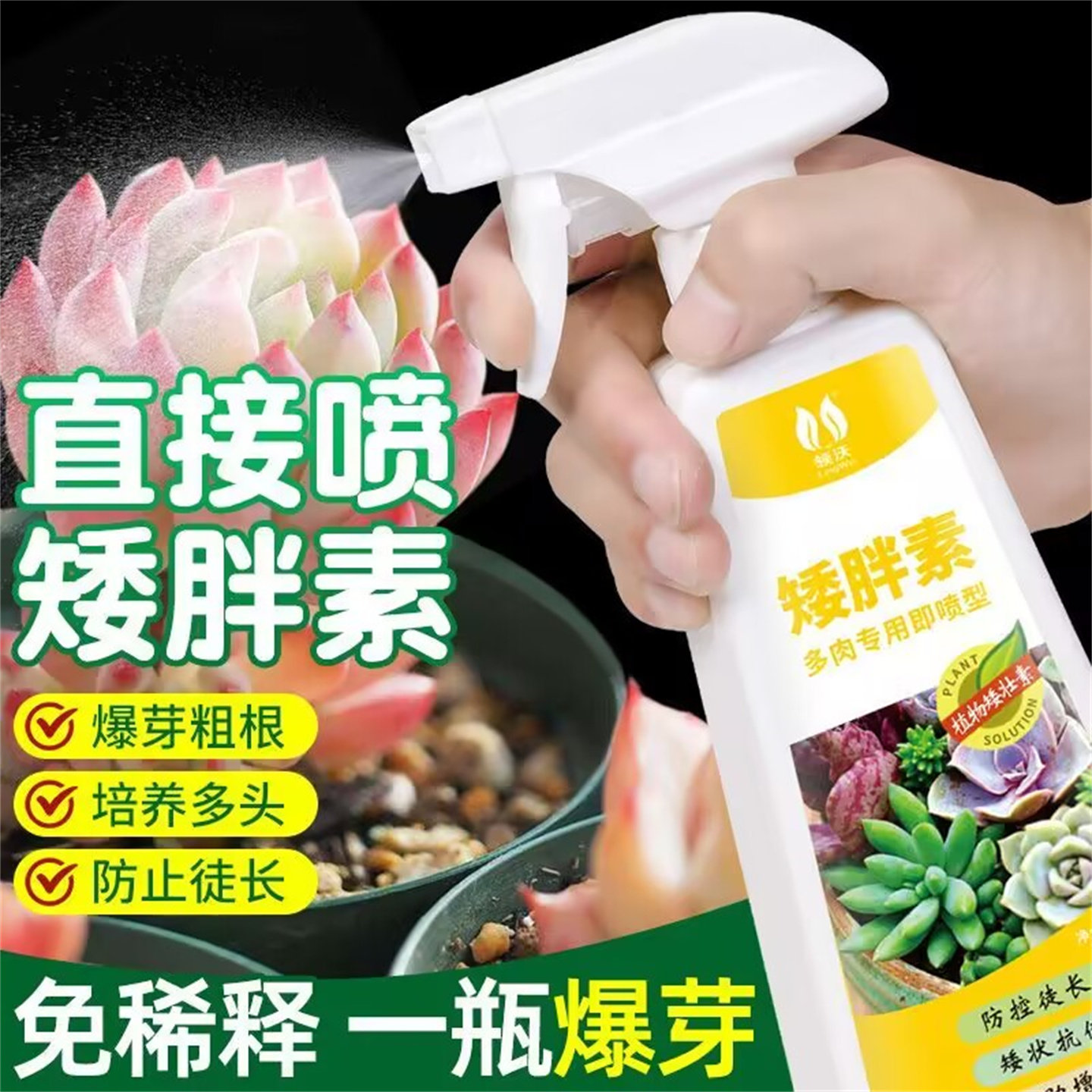 多肉专用肥矮胖素营养液爆芽增肥