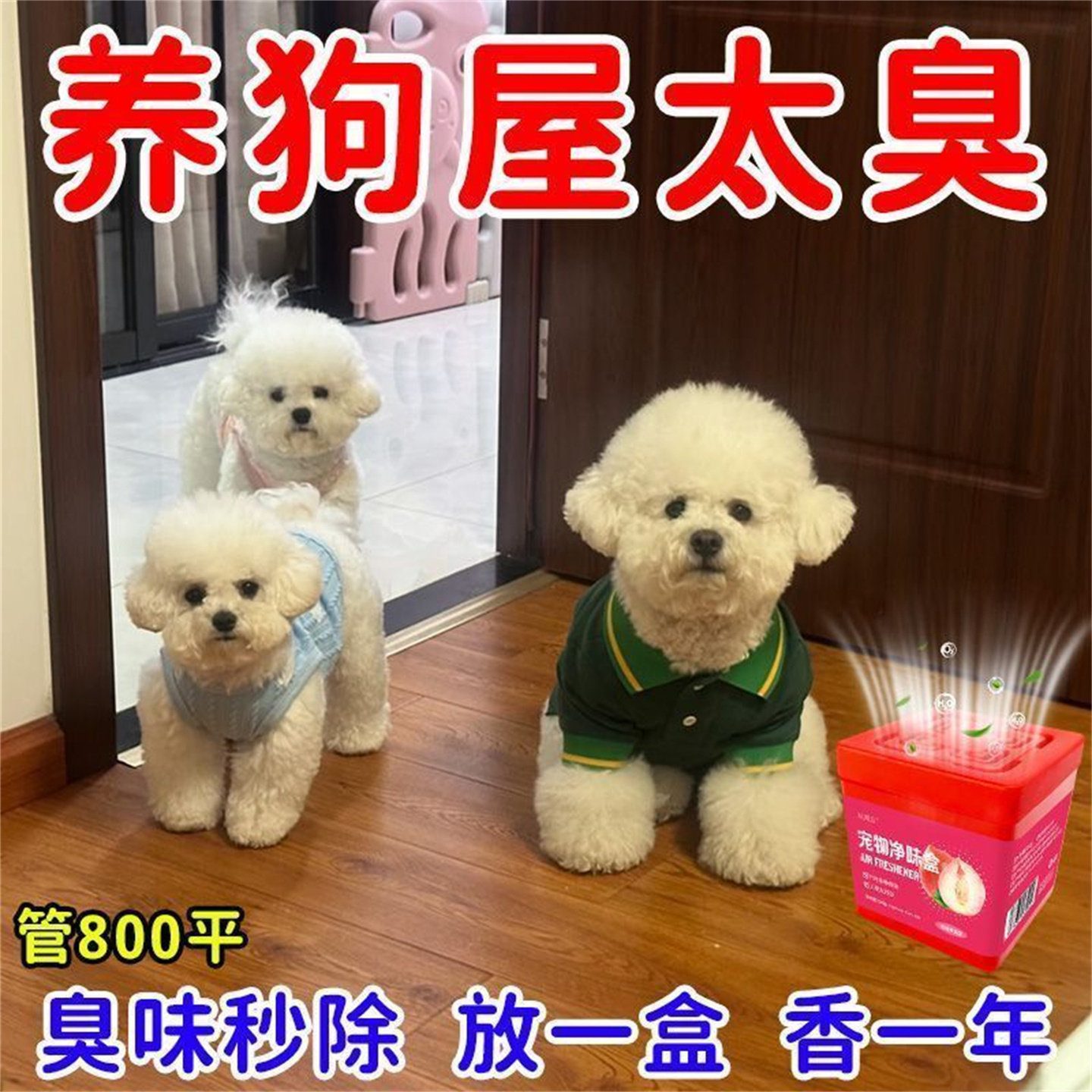 【天然除臭】宠物除味魔盒除臭