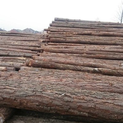 松木打桩.杉木桩.松木桩.原木实木木料泥潭打桩木绿化支撑杆