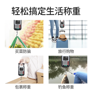 手提电子秤商用小型便携式高精度10公斤称鱼器家用小秤计价弹簧称