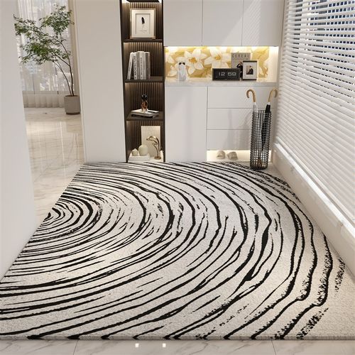 高端入户门地垫2024新款家用客厅地毯卧室床边脚垫防滑大门口垫子