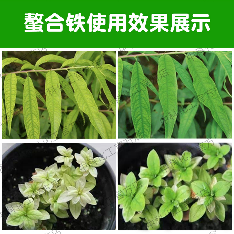 糖醇螯合铁肥微量元素水溶叶面肥植株黄叶缺铁农用花卉果树盆栽