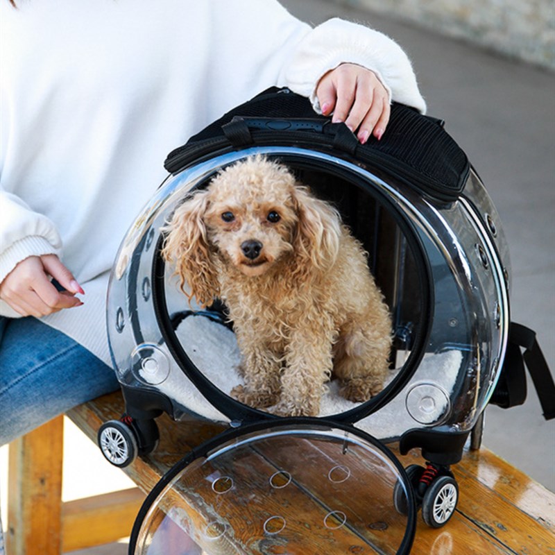宠物行李箱透明拉杆箱a猫包外出可携式狗狗揹包太空舱猫咪旅行箱