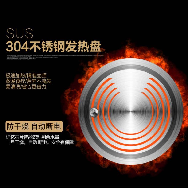荣事金3升L大容量煎药壶养生壶家用多功能煮茶药膳壶电炖锅煲汤锅